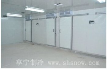 建议先扫读标题与摘要
